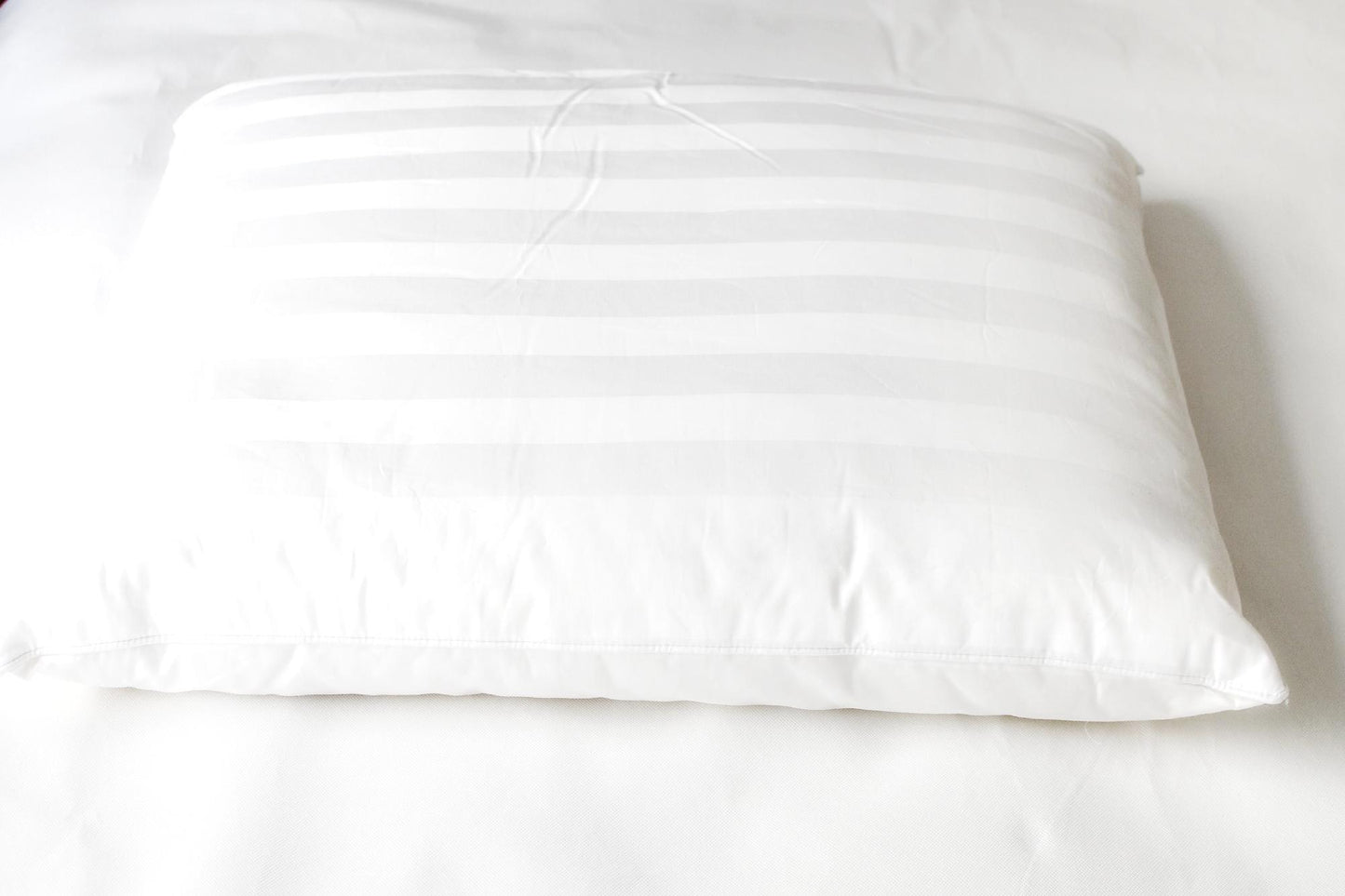 Pillows - 70% Mulberry Silk